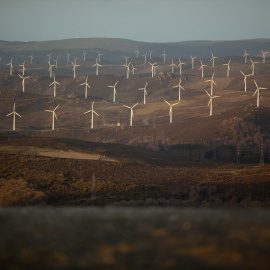Varios aerogeneradores en el parque eólico de Vilachá, a 15 de marzo de 2024, en Lugo, Galicia.