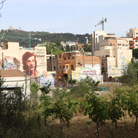 Edificis i un solar amb vinyes al barri de Vallcarca de Barcelona