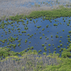 Vista aérea del parque nacional de los Everglades en Florida, Estados Unidos, el 4 de agosto de 2022.