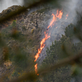 Foto de ARCHIVO de operativos trabajan en un incendio forestal de Jaizkibel (Guipúzcoa) el pasado 20 de marzo de 2025.