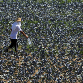 Un trabajador del campo protegido del sol con sombrero lleva su botella de agua durante su trabajo en Andalucía.