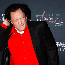 Michael Madsen, actor de 'Kill Bill' y 'Reservoir Dogs', en una imagen de archivo.
