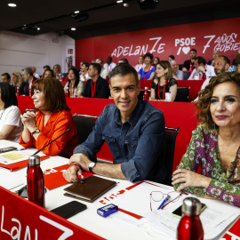 Pedro Sánchez, durant la reunió del Comitè Federal del PSOE d'aquest dissabte 5 de juliol.