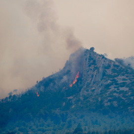 Flames a l'incendi forestal de Paüls