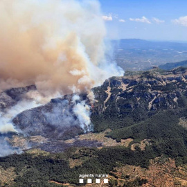 Imagen del humo provocado por el incendio forestal de Paüls.