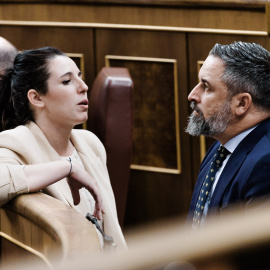 El presidente de Vox, Santiago Abascal conversa con la diputada de Vox Rocío de Meer, durante un pleno en el Congreso de los Diputados.