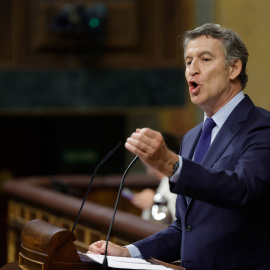 El presidente del PP, Alberto Núñez Feijóo, interviene desde la tribuna de oradores en una foto de archivo.
