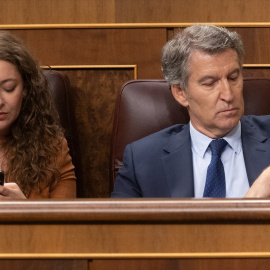 La portavoz del PP, Ester Muñoz y el presidente del PP, Alberto Núñez Feijóo, en el Congreso
