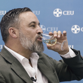 El líder de Vox, Santiago Abascal, el pasado 19 de julio en San Lorenzo de El Escorial.