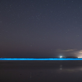Mar de Ardora en la playa de Carnota, Galicia