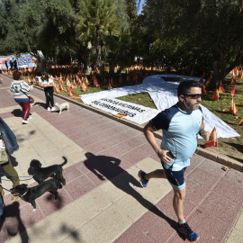 Las banderas colocadas por la Asociación Nacional de Víctimas y Afectados por Coronavirus (Anvac) en el parque Isidoro Medina de Murcia en octubre de 2020.