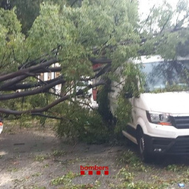 Arbre caigut sobre una furgoneta a Terrassa
