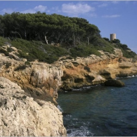 Tamarit - Punta de la Móra és un petit espai que agrupa dues àrees singulars en aquest tram de costa de Tarragona.