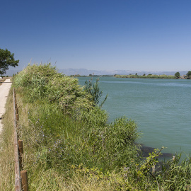 Delta de l'Ebre Parc Natural