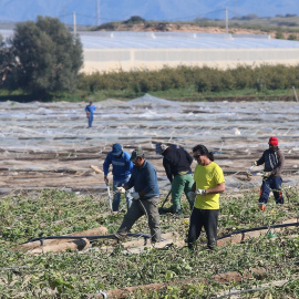 Invernaderos en Nijar (Almería). Archivo.