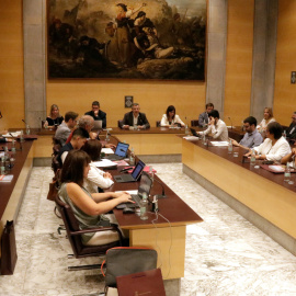 Ple de la Diputació de Girona