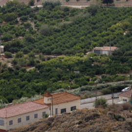 Vista aérea de una huerta en Murcia. Archivo.
