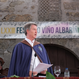 El presidente del Partido Popular, Alberto Núñez Feijóo.