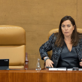 La vicepresidenta primera de la Asamblea de Madrid, Ana Millán.