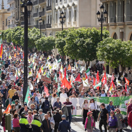 Manifestación del 28 de febrero de 2024, en Sevilla. Archivo.