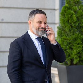 El líder de Vox, Santiago Abascal.