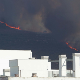 Medios terrestres y aéreos operan el incendio de Tarifa, Cádiz