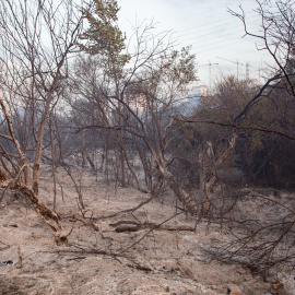 Campo quemado por el incendio, a 12 de agosto de 2025, en Tres Cantos, Madrid (España).