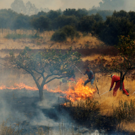 Varios vecinos tratan de apagar un fuego en Abejera de Tabara, Zamora, a 13 de agosto de 2025.