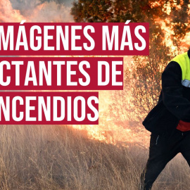 Los incendios forestales vuelven a golpear con fuerza a nuestro país. Coincidiendo con las olas de calor extremas que azotan la península, esta semana el país sufre una veintena de incendios de gran magnitud. León, Zamora, Ourense, Cáceres, Cádiz o Madrid son algunas de las provincias que han sufrido el fuego, que ya ha dejado al menos siete heridos graves y dos víctimas mortales, un trabajador de la hípica de Tres Cantos (Madrid) y un voluntario que luchaba en las labores de extinción en Molezuelas (Zamora). 



Nuestro periodismo es posible gracias a nuestros suscriptores. Únete a la República de Público y defiende el periodismo valiente, feminista y de izquierdas: https://bit.ly/3REUOTN

Periodismo, investigación y compromiso para construir un mundo más igualitario.
¡Suscríbete ya a nuestro canal!: https://bit.ly/2U8nM0q
Visita: https://www.publico.es
Síguenos en Facebook: https://www.facebook.com/diario.publico/
Síguenos en Twitter: https://twitter.com/publico_es
Síguenos en Instagram: https://www.instagram.com/publico.es
Síguenos en TikTok: https://www.tiktok.com/@publico_es
Síguenos en Bluesky: https://bsky.app/profile/publico.es