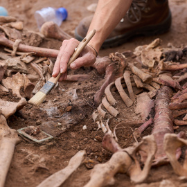 Excavació d'una fossa