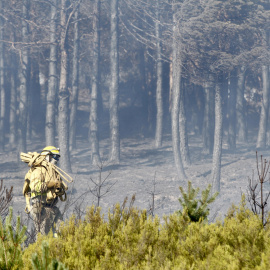 Aspecto del incendio en la zona limítrofe entre Ourense y Zamora.