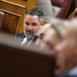 Santiago Abascal en el Congreso de los Diputados en Madrid.