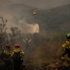 Brigadas de bomberos en Monforte de Lemos (Galicia), a 17 de agosto de 2025.