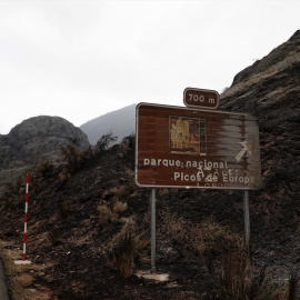 Campo quemado por el incendio en el entorno de los Picos de Europa, a 19 de agosto de 2025.
