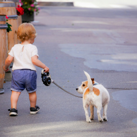 La niñofobia y la perrofobia son el síntoma de una enfermedad que se extiende entre todos los sectores y capas de la sociedad: el 'amimemolestanismo'.