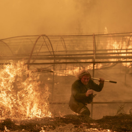 Un guarda forestal lucha contra las llamas el pasado domingo en el incendio de Carballeda de Avia (Ourense).