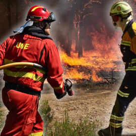 Lo que hoy arde, mañana puede ser ceniza en la memoria ajena. El fuego ha evidenciado la falta de previsión de algunos gobiernos autonómicos. También ha puesto sobre la mesa los riesgos de la crisis climática y las dramáticas consecuencias del abandono rural.

Al menos tres factores han desatado los que son ya los peores incendios que ha sufrido España en las últimas dos décadas: la extensa ola de calor, el viento y el paisaje seco. Las llamas han provocado que miles de vecinos hayan sido desalojados de sus casas y que muchos de ellos lo hayan perdido todo. 

Las imágenes de cientos de ciudadanos, movidos por la desesperación, combatiendo el fuego, quedarán durante años en la memoria colectiva. Pero el riesgo de que simplemente se conviertan en un mal recuerdo y que nada cambie está ahí. 

Durante largas jornadas, bomberos forestales, la Unidad Militar de Emergencias (UME), Guardia Civil y Policía han estado luchando en paisajes calcinados para que el fuego engulla lo menos posible. El despliegue de estos efectivos por parte del Estado no surge de la nada, sino del dinero público.

Mientras, algunos líderes de gobiernos autonómicos han echado balones fuera y trasladado su responsabilidad al Ejecutivo central. "Los fuegos se apagan en invierno", han repetido los bomberos una y otra vez. Pero, para ello, es necesario que no se desprecie la labor de trabajadores forestales con un modelo intermitente de contratación y despido. 

También es importante que Ejecutivos regionales llanamente cumplan ley de montes, muy mencionada estos días. Una norma que especifica la importancia de gestionar adecuadamente los campos y bosques, precisamente, para evitar incendios forestales. "La prevención es la solución", entonaban con fuerza vecinos de León para evitar que esta situación se vuelva a producir en el futuro.


Nuestro periodismo es posible gracias a nuestros suscriptores. Únete a la República de Público y defiende el periodismo valiente, feminista y de izquierdas: https://bit.ly/3REUOTN

Periodismo, investigación y compromiso para construir un mundo más igualitario.
¡Suscríbete ya a nuestro canal!: https://bit.ly/2U8nM0q
Visita: https://www.publico.es
Síguenos en Facebook: https://www.facebook.com/diario.publico/
Síguenos en Twitter: https://twitter.com/publico_es
Síguenos en Instagram: https://www.instagram.com/publico.es
Síguenos en TikTok: https://www.tiktok.com/@publico_es
Síguenos en Bluesky: https://bsky.app/profile/publico.es
