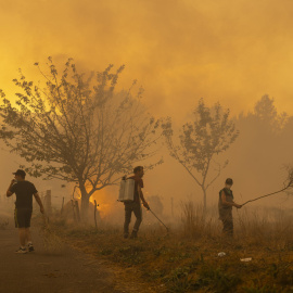Los megaincendios que se han desatado este verano en Galicia han dejado imágenes dantescas de la lucha contra las llamas.