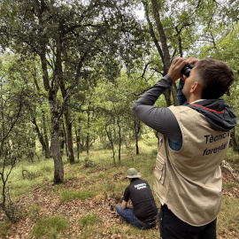 Un enginyer comprovant l'estat dels arbres d'una parcel·la 8x8 a Gavet de la Conca, al Pallars Jussà.