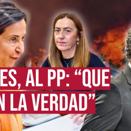 La ministra de Defensa, Margarita Robles, ha acusado este lunes a los presidentes 'populares' de las comunidades autónomas afectadas por los incendios de "no asumir sus obligaciones" para prevenirlos, al tiempo que les ha reclamado "responsabilidad" y ha apelado a sus conciencias ante las críticas al Gobierno por la, a su juicio, falta de respuesta ante el fuego. Ha reclamado a los líderes regionales del PP que "saben la verdad" que sean "valientes y la digan".

Nuestro periodismo es posible gracias a nuestros suscriptores. Únete a la República de Público y defiende el periodismo valiente, feminista y de izquierdas: https://bit.ly/3REUOTN

Periodismo, investigación y compromiso para construir un mundo más igualitario.
¡Suscríbete ya a nuestro canal!: https://bit.ly/2U8nM0q
Visita: https://www.publico.es
Síguenos en Facebook: https://www.facebook.com/diario.publico/
Síguenos en Twitter: https://twitter.com/publico_es
Síguenos en Instagram: https://www.instagram.com/publico.es
Síguenos en TikTok: https://www.tiktok.com/@publico_es
Síguenos en Bluesky: https://bsky.app/profile/publico.es