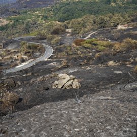 CABEZABELLOSA (CÁCERES), 20/08/2025.- Áreas calcinadas en la localidad cacereña de Cabezabellosa por el incendio de Jarilla (Cáceres), cuyo avance se ha logrado contener pues en los dos últimos días ha ido quemando "de 500 en 500 hectáreas", mucho menos que en jornadas anteriores, pero hoy el viento vuelve a complicar las tareas de extinción. EFE/EDUARDO PALOMO