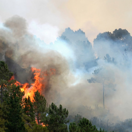 Vista del incendio en San Antolin de Ibias, en Asturias.