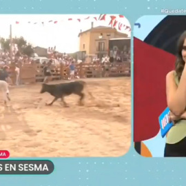 Momento en el que arrastran al reportero hacia una vaquilla.