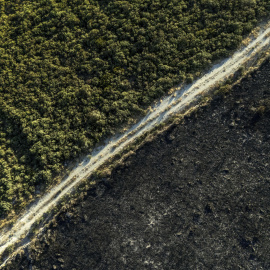 Vista aérea de la superficie calcinada por el incendio forestal en A Mezquita (Ourense).