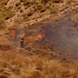 Medios terrestres luchan contra las llamas en un incendio en el paraje de Monte Coronado en Málaga capital.