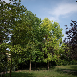Un parque en Barcelona, Catalunya. Foto de archivo.