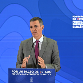 El president del govern espanyol, Pedro Sánchez, en una imatge recent