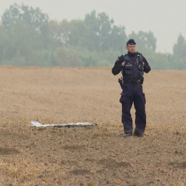 A Polish police officer stands near a unmanned aerial vehicle (UAV) fragment, after Russian drones violated Polish airspace during an attack on Ukraine and some were shot down by Poland, in Czesniki, Lublin Voivodeship, Poland, September 10, 2025 in this still image from video. Polsat News via REUTERS    THIS IMAGE HAS BEEN SUPPLIED BY A THIRD PARTY. POLAND OUT. NO COMMERCIAL OR EDITORIAL SALES IN POLAND     TPX IMAGES OF THE DAY