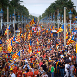Cientos de personas durante la manifestación convocada por la ANC en Barcelona.