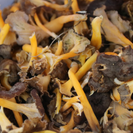 Els primers camagrocs del Mercat de Cal Rosal